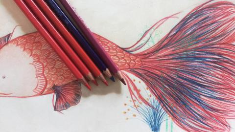 Dibujar con lápiz de color